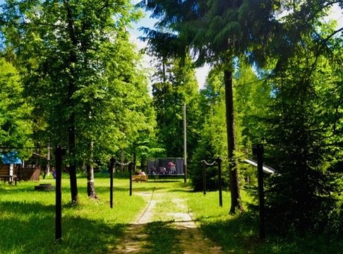 Зелёная лесная дорожка на территории базы ХуторОк
